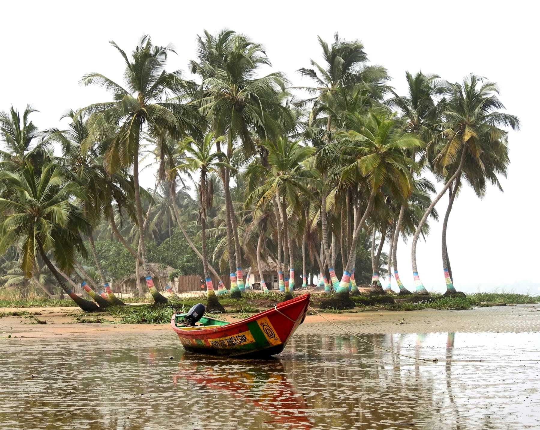Palm-fringed beach in Ghana with a red canoe on the shore